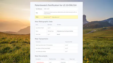 Patentswatch gallery image