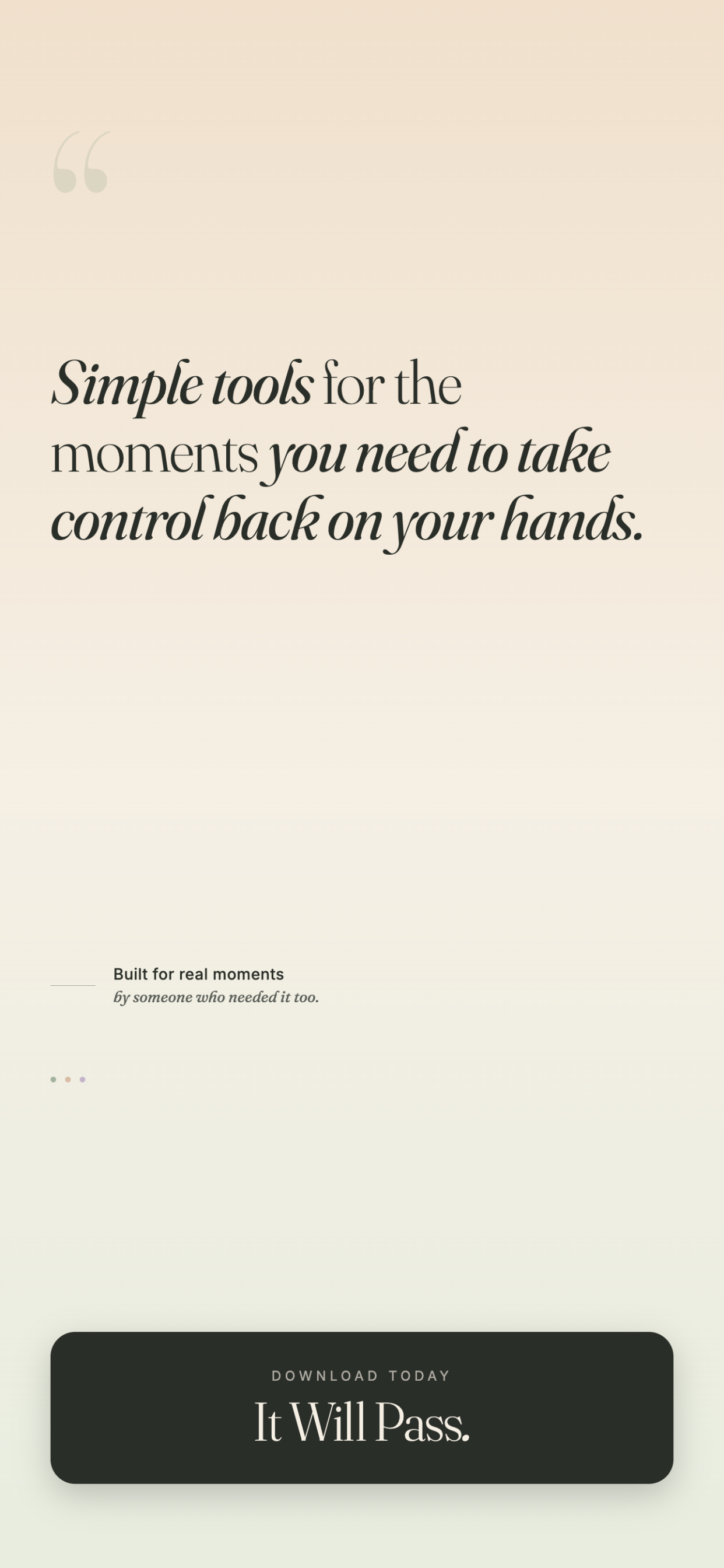 It Will Pass gallery image