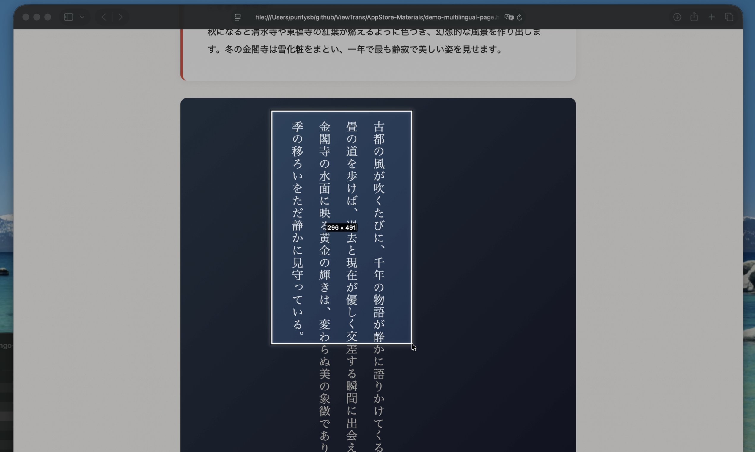 ViewLingo gallery image