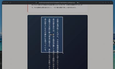 ViewLingo gallery image