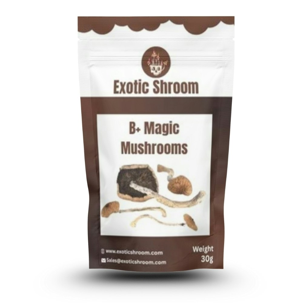 Exotic Shroom - Main product screenshot demonstrating key features and user interface
