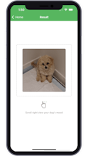 Pet Mood Detector: AI Analysis gallery image