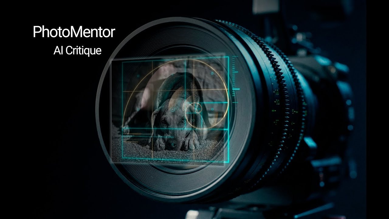 PhotoMentor gallery image