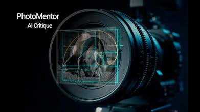 PhotoMentor gallery image