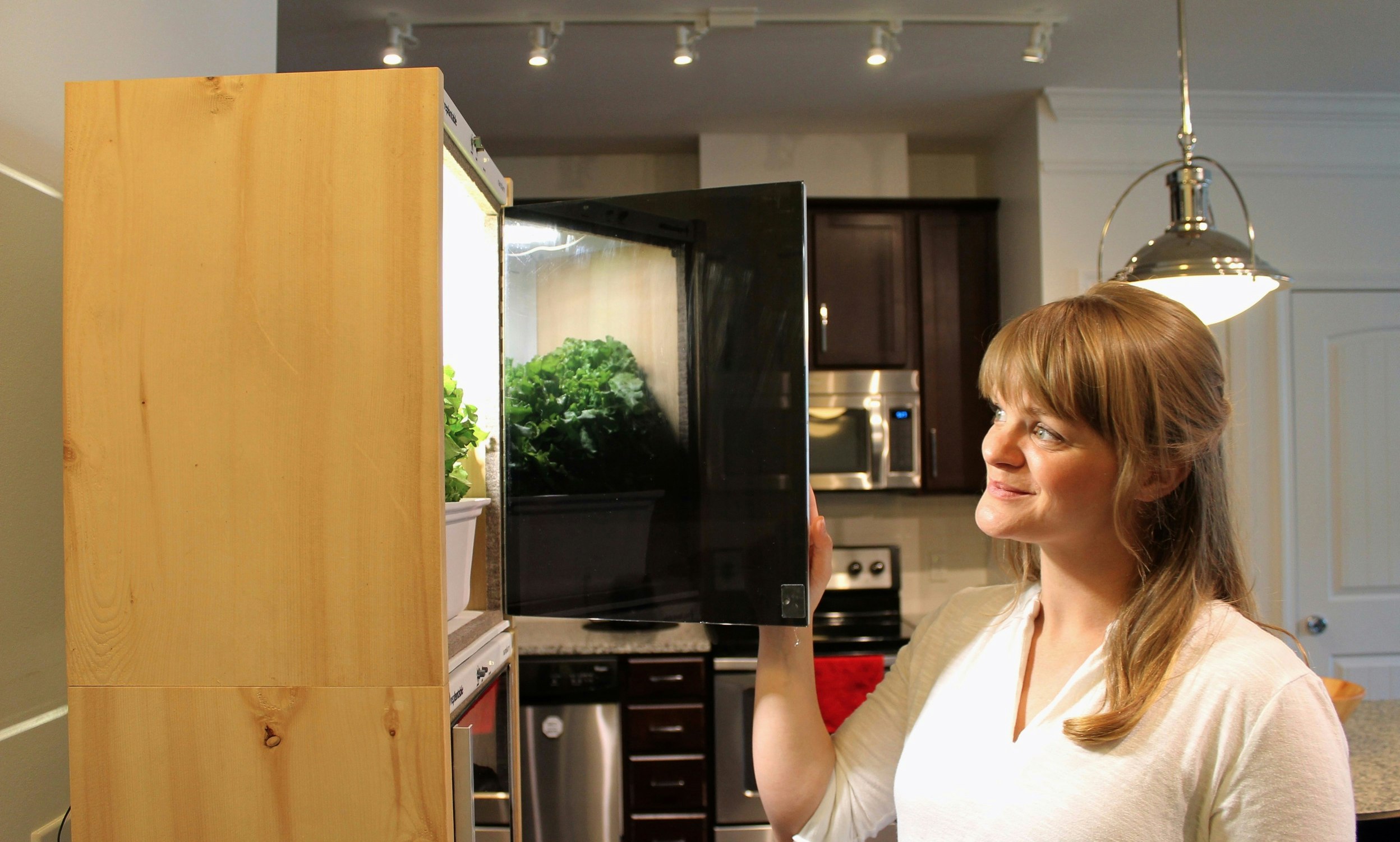 Replantable gallery image