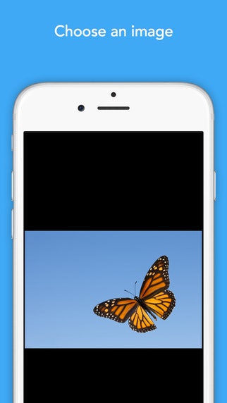 Colorscape gallery image