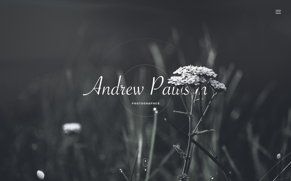 PIcasso Landing UI Kit gallery image