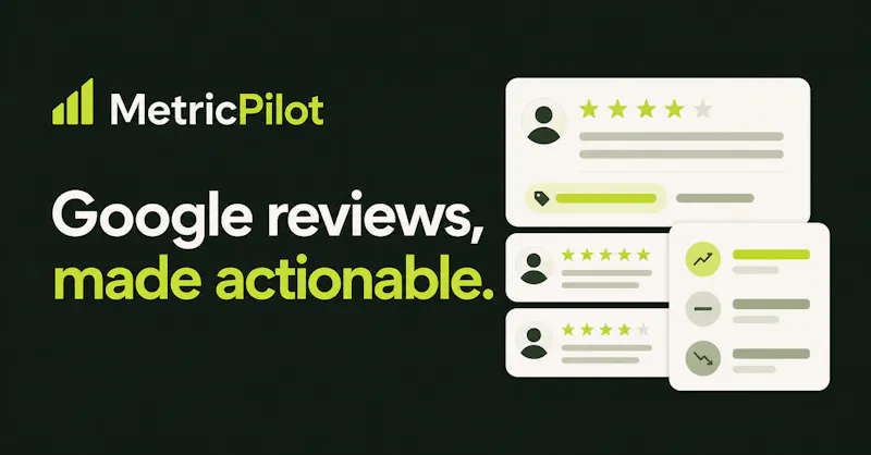 MetricPilot — Google review intelligence screenshot 1