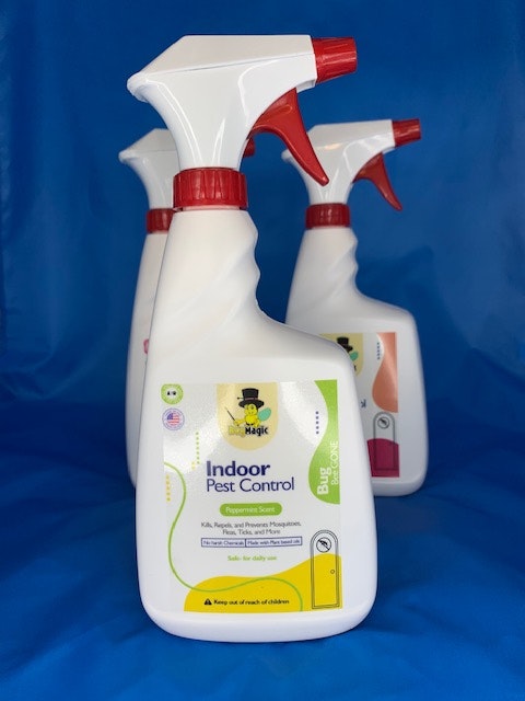 Bug Magic gallery image