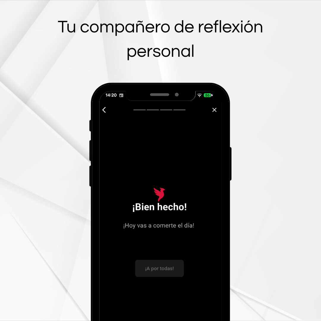 Invencible gallery image