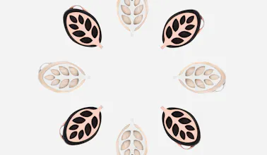 Period Diary Pro gallery image