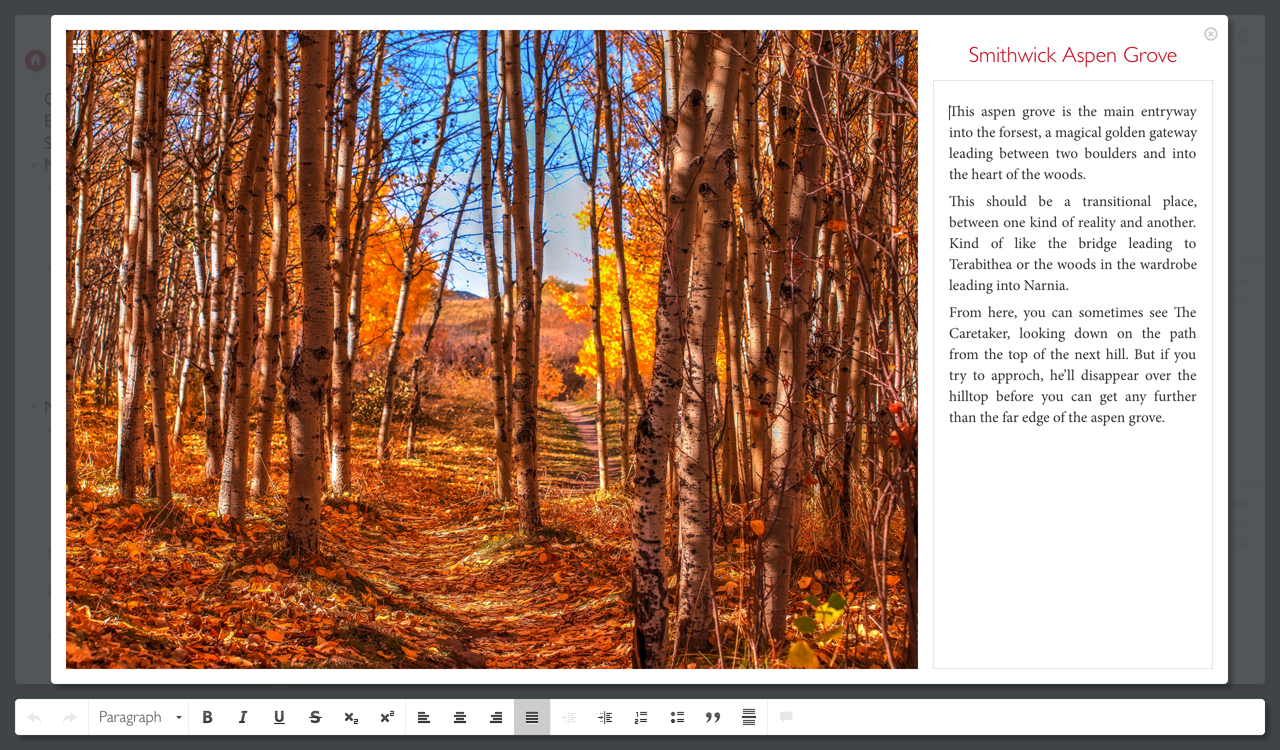 Shaxpir gallery image