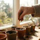 Low-Cost Investing for Beginners