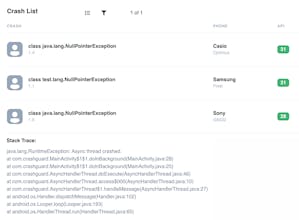 Crashguard gallery image