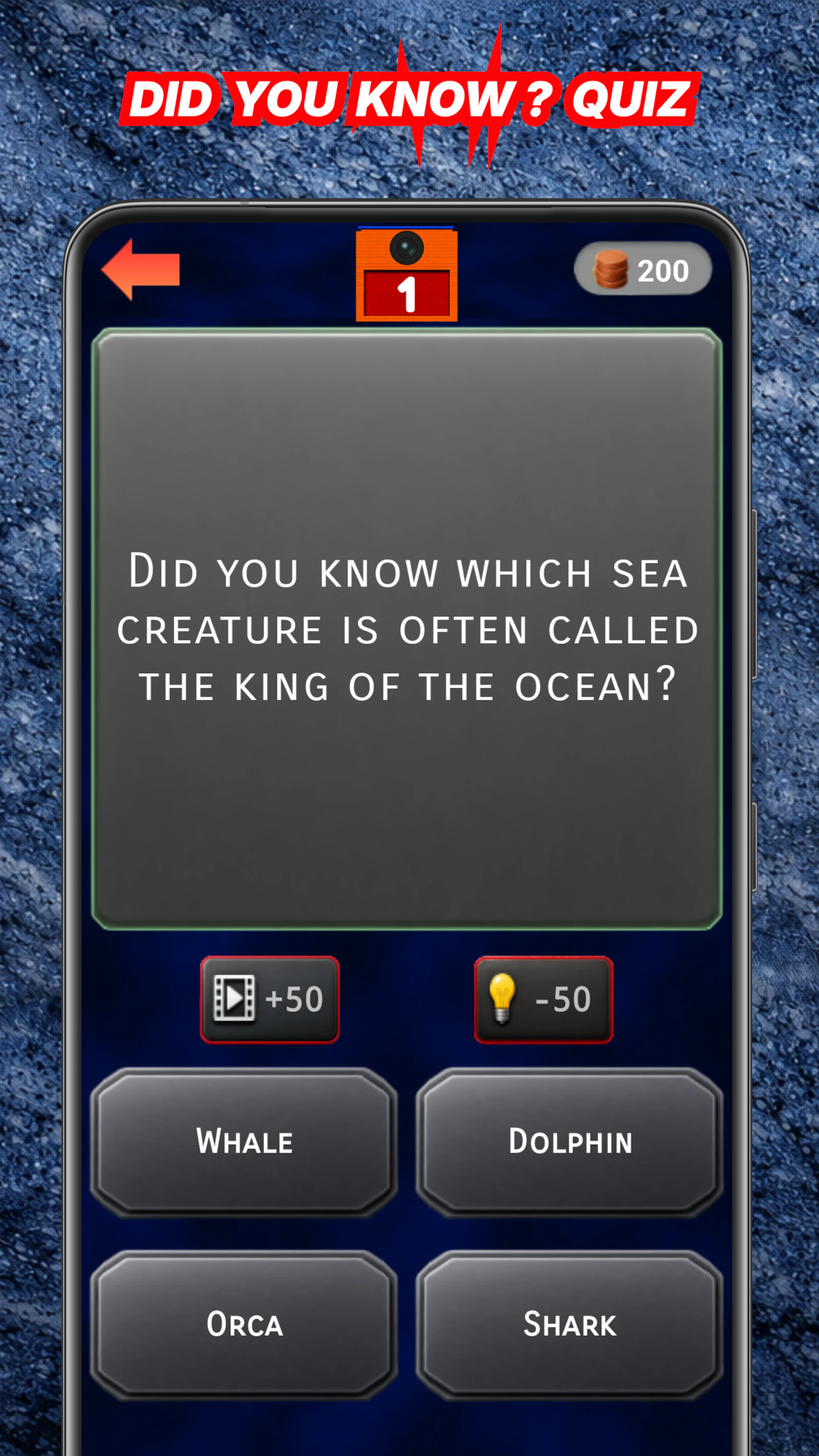Wordkrad  screenshot 4