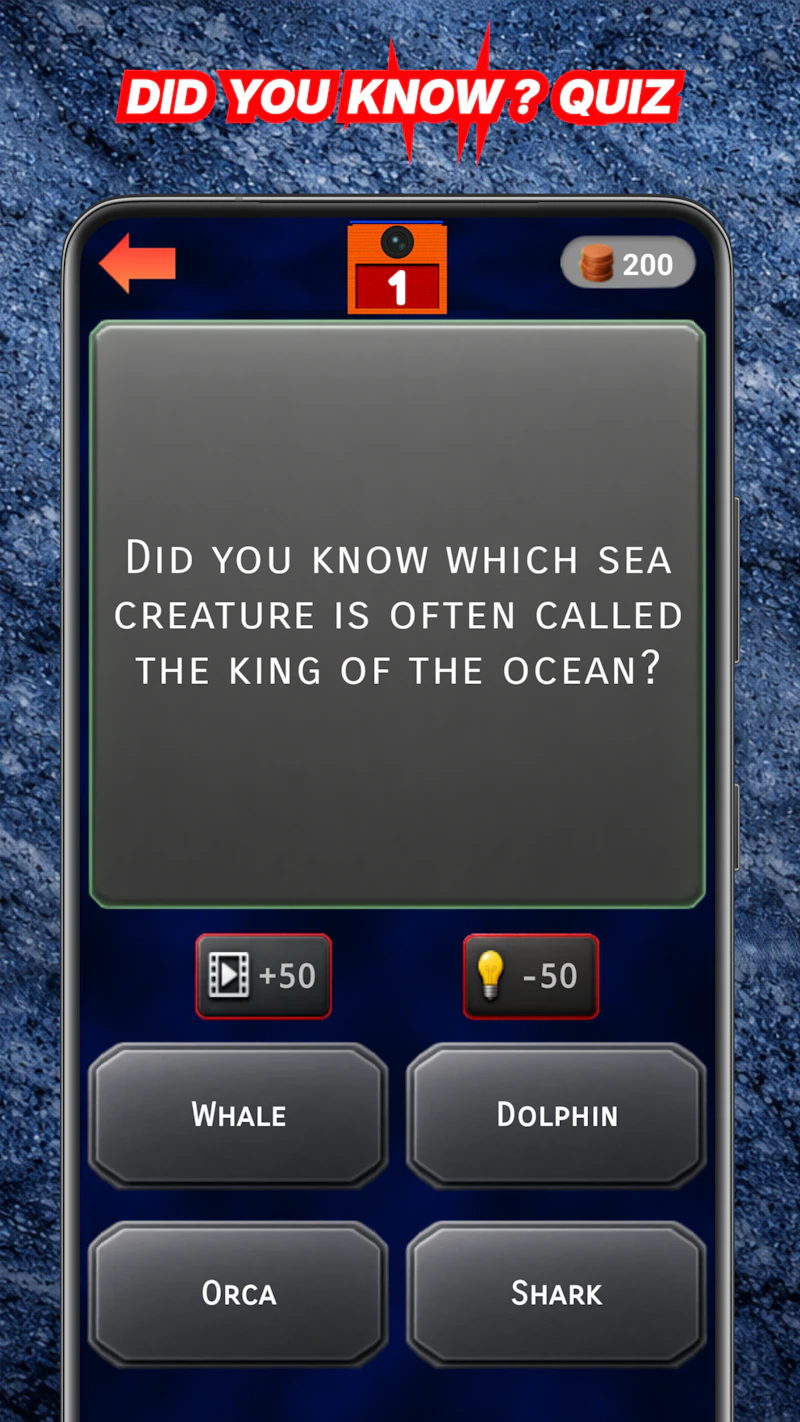 Wordkrad  screenshot 4
