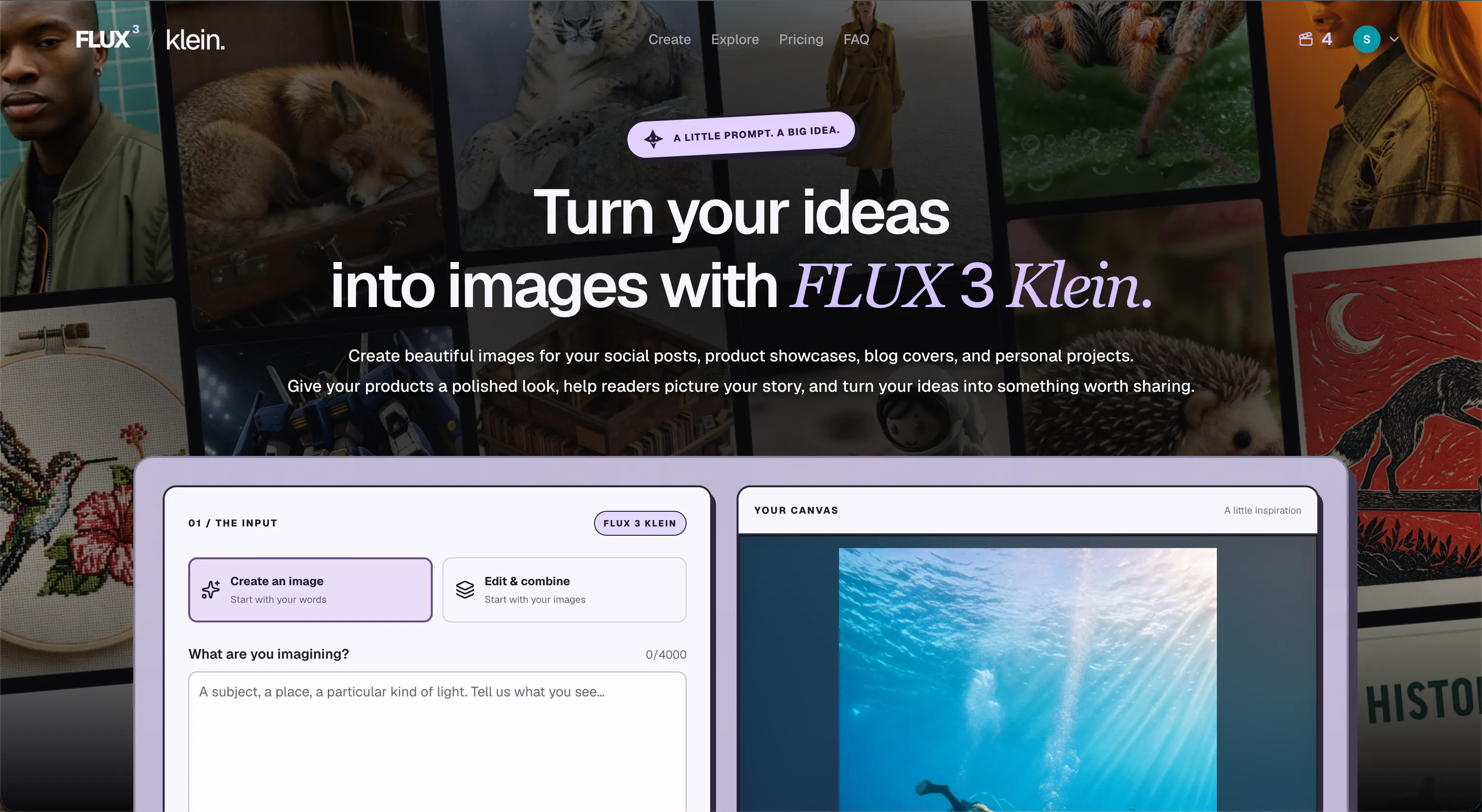 FLUX 3 Klein Online gallery image