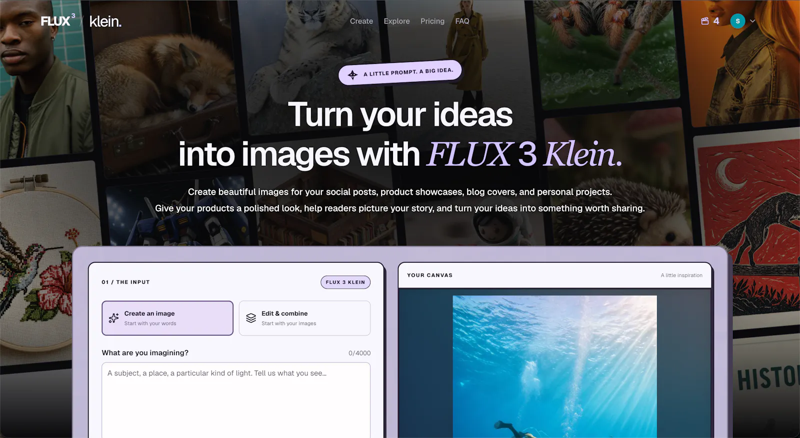 FLUX 3 Klein Online screenshot 1