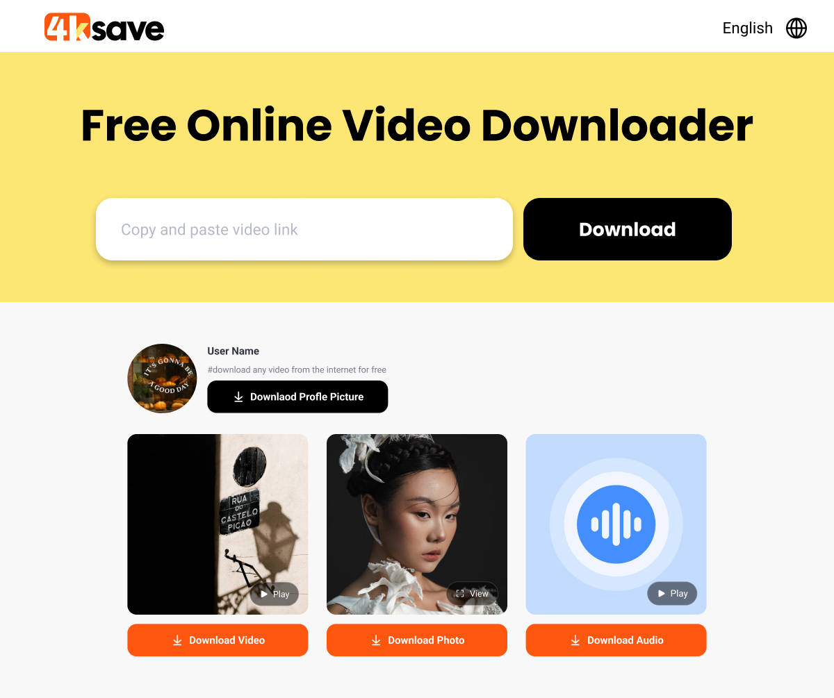 4KSAVE 온라인 비디오 다운로더 - 4K HD로 온라인으로 비디오 및 사진을 다운로드하십시오 미디어 1