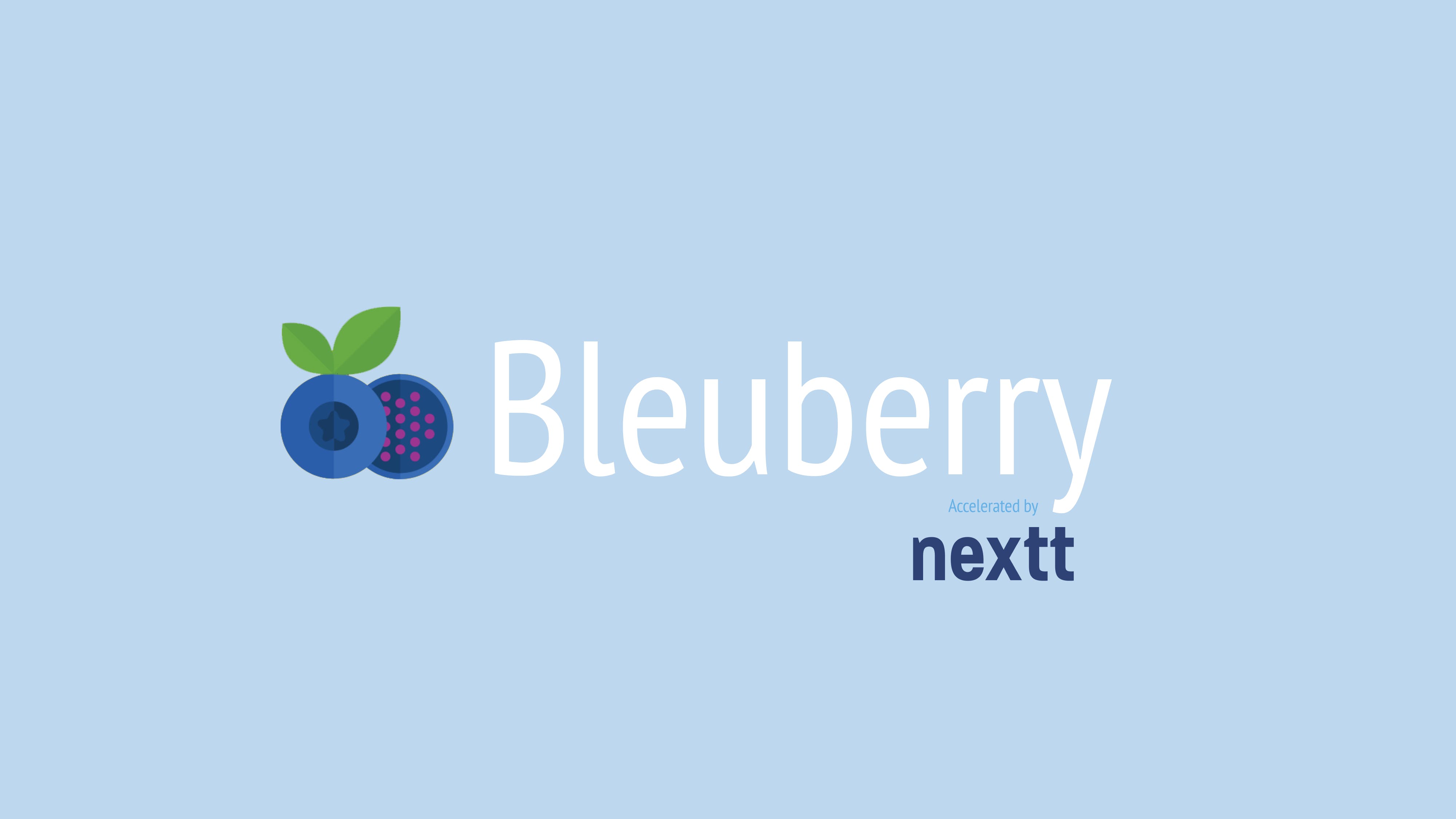 The Bleuberry Project media 2