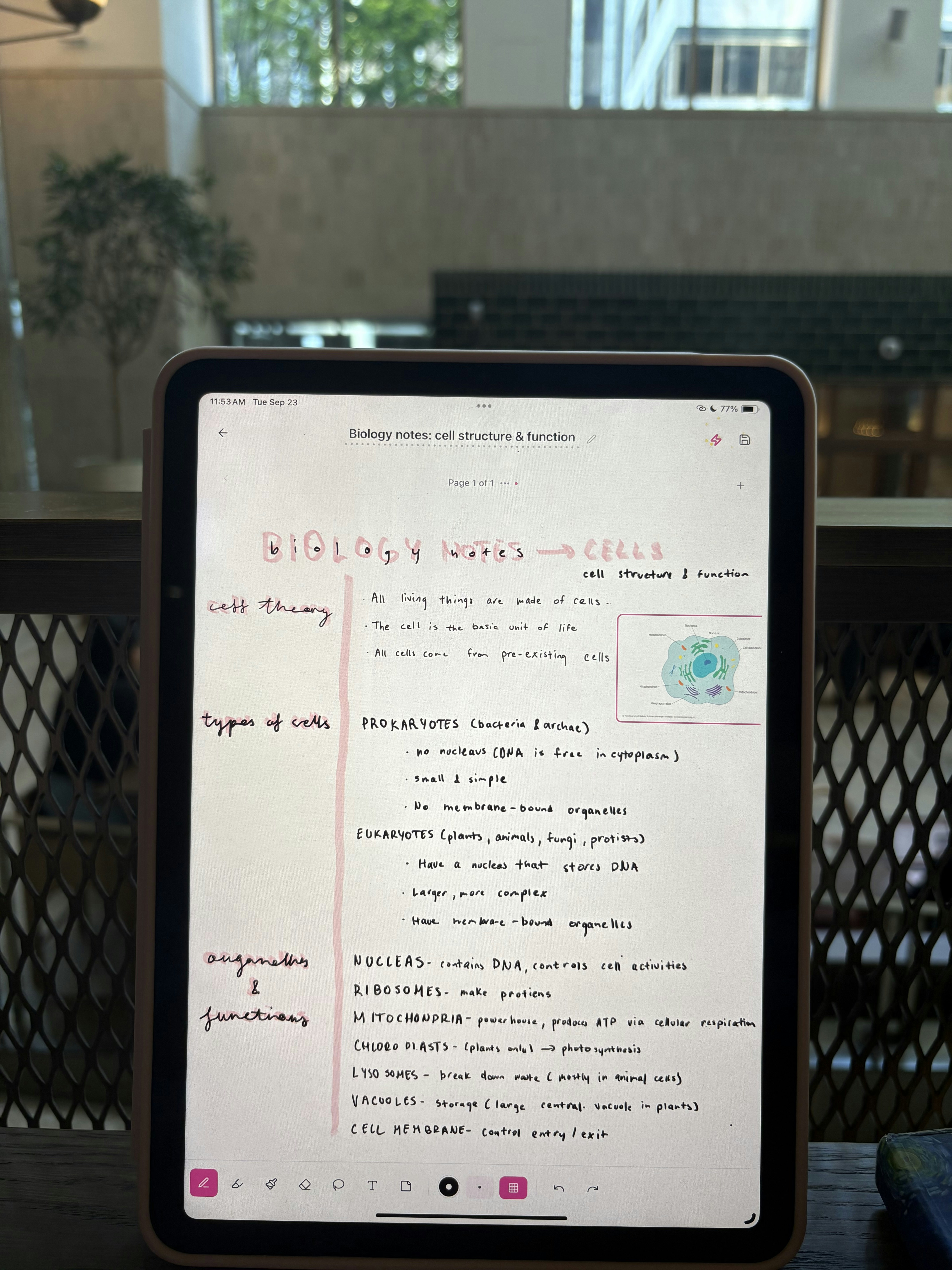 Média Note - Lancement de notre prise de notes basée sur l'IA sur l'App Store 1