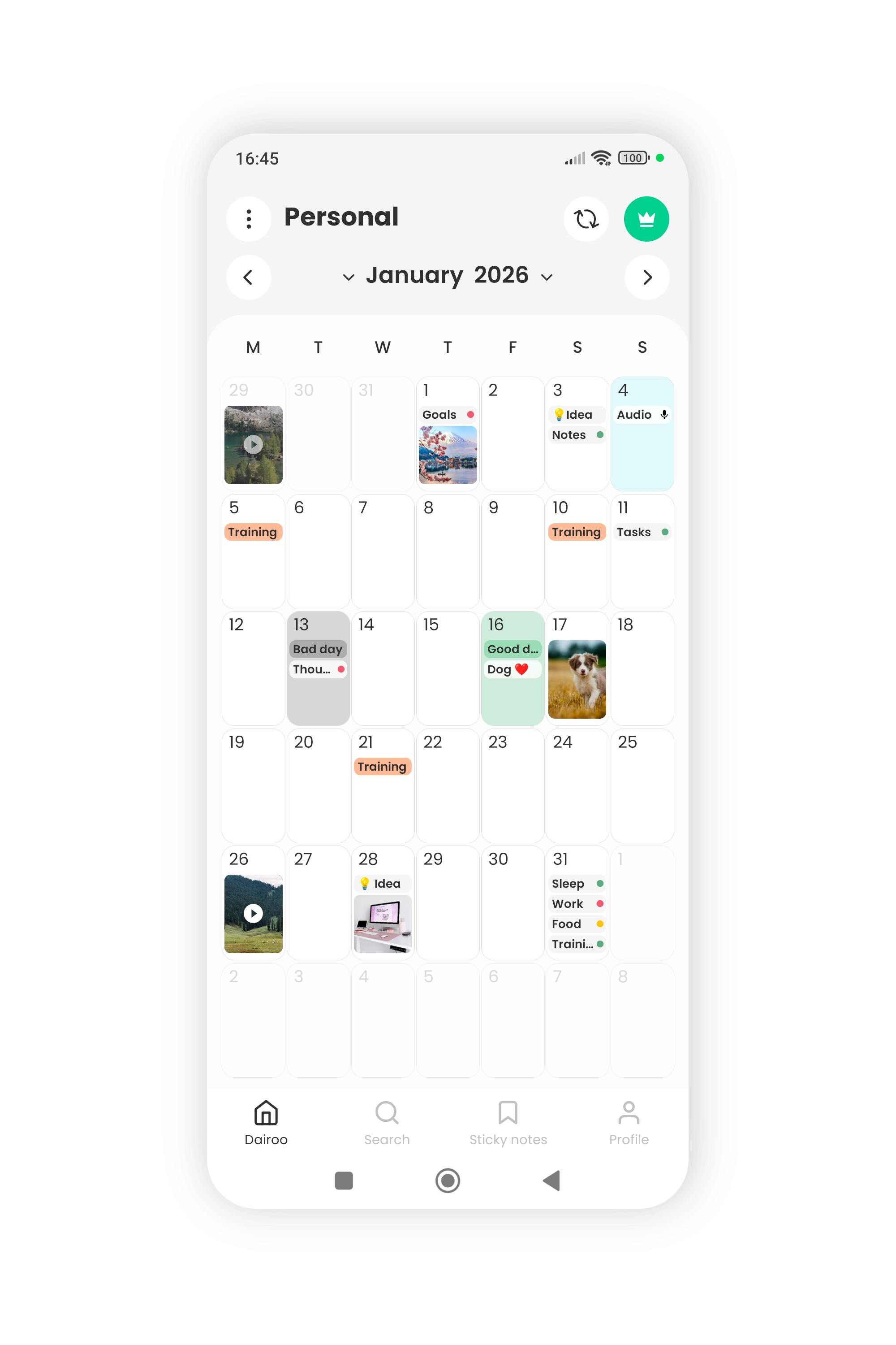 dairoo gallery image