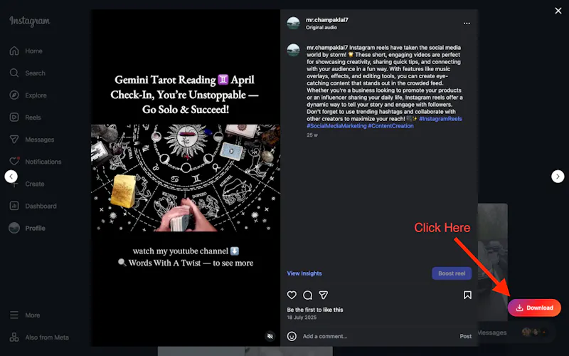 Instagram Reels Downloader screenshot 4
