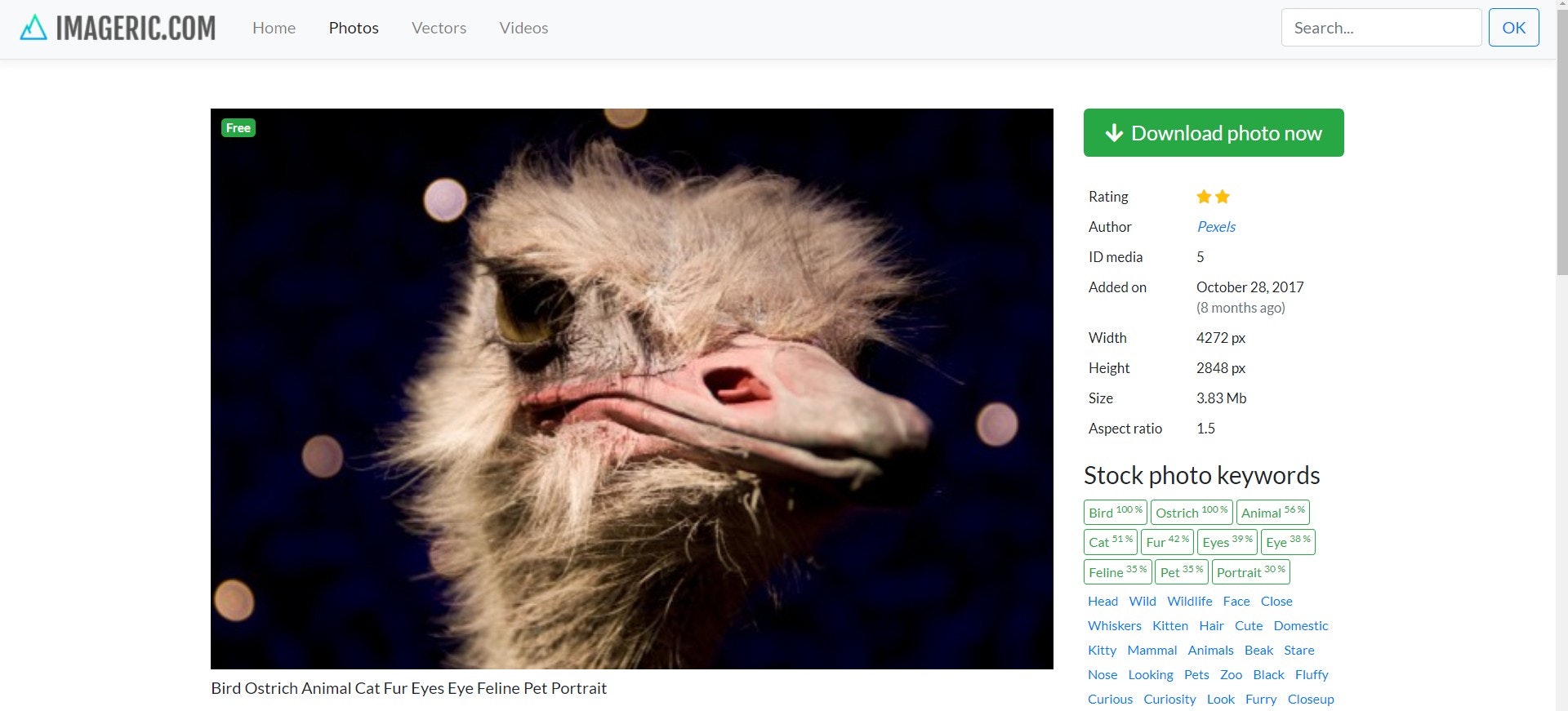 Imageric.com gallery image