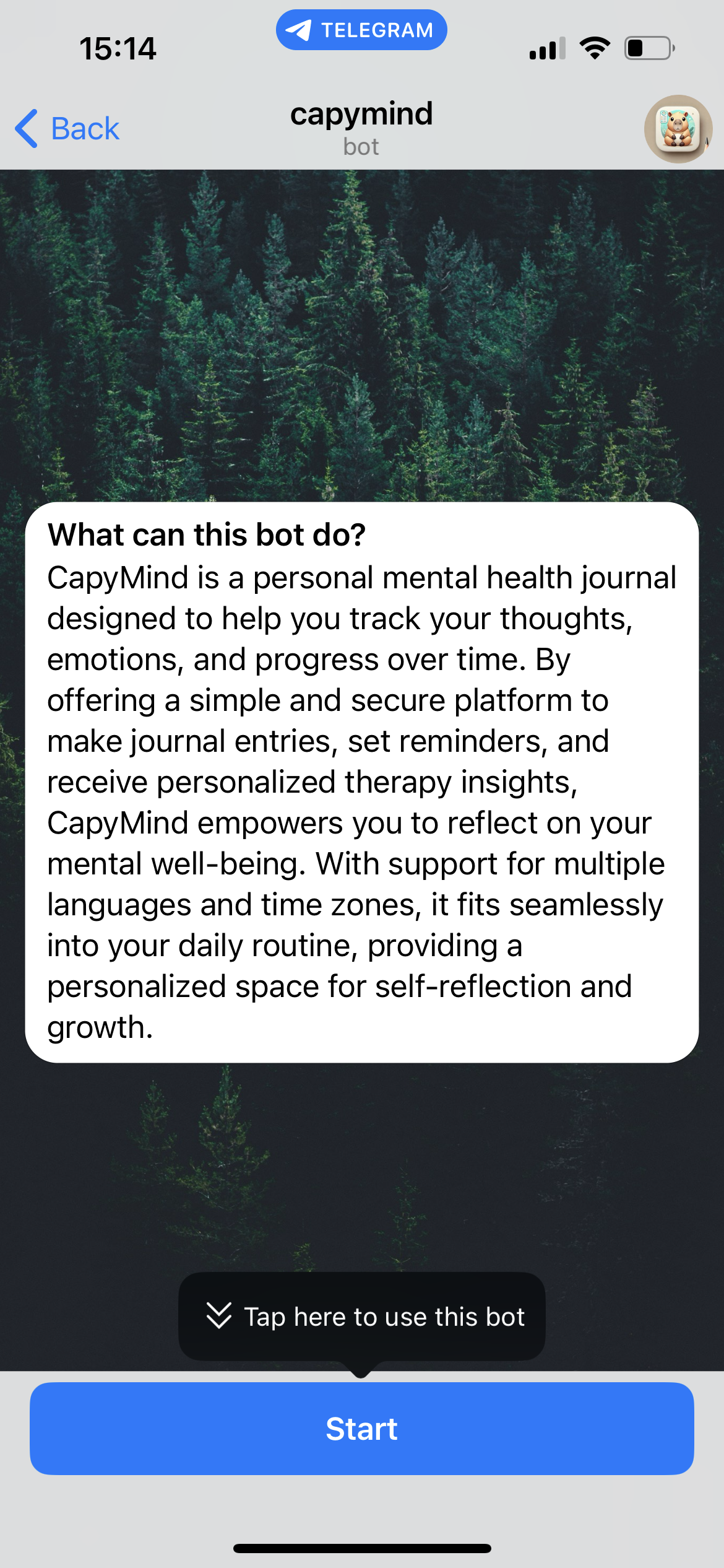 CapyMind media 1