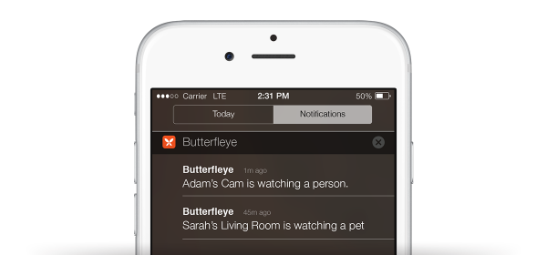 Butterfleye Image