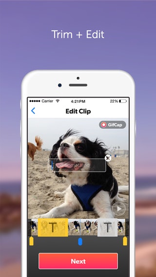 GifCap gallery image