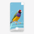 Birdfy
