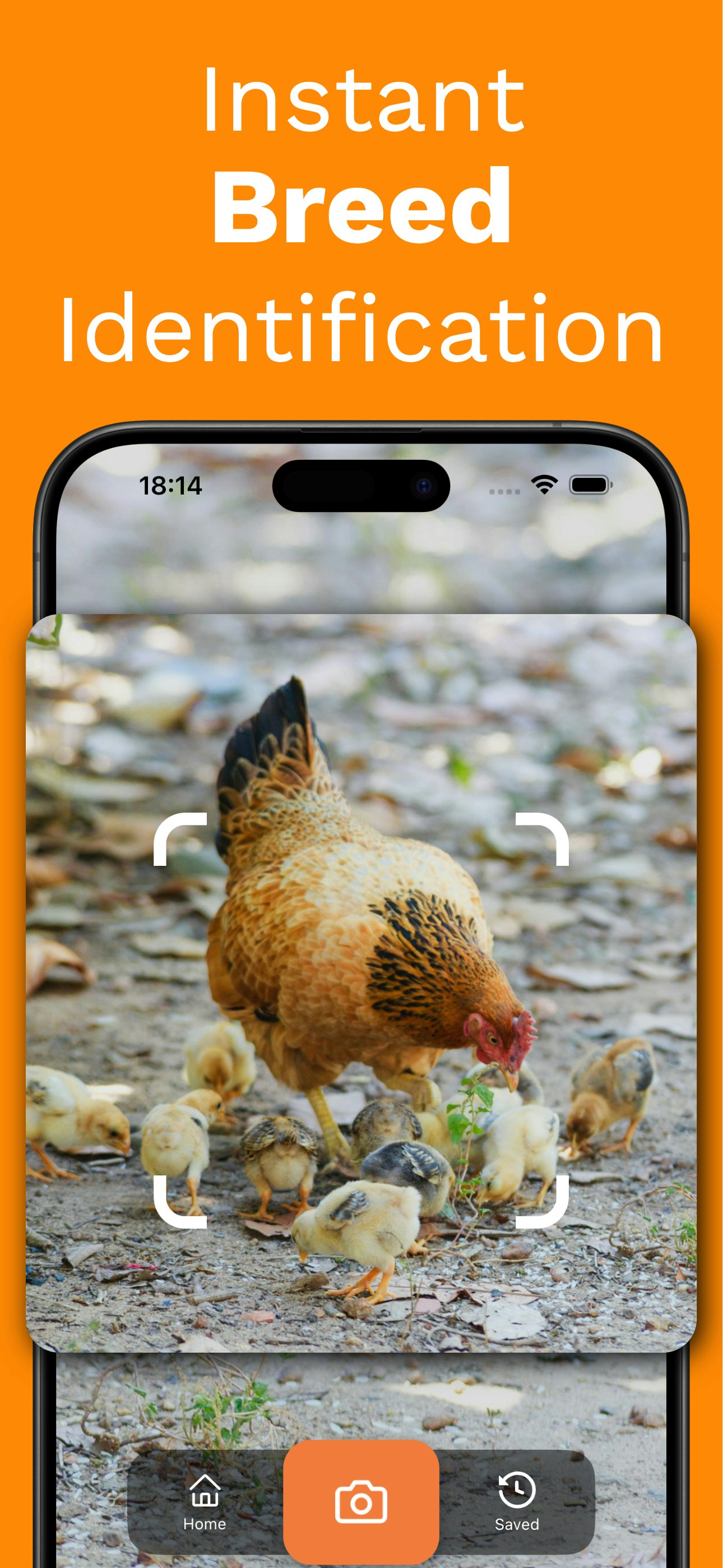 OneRack media 1
