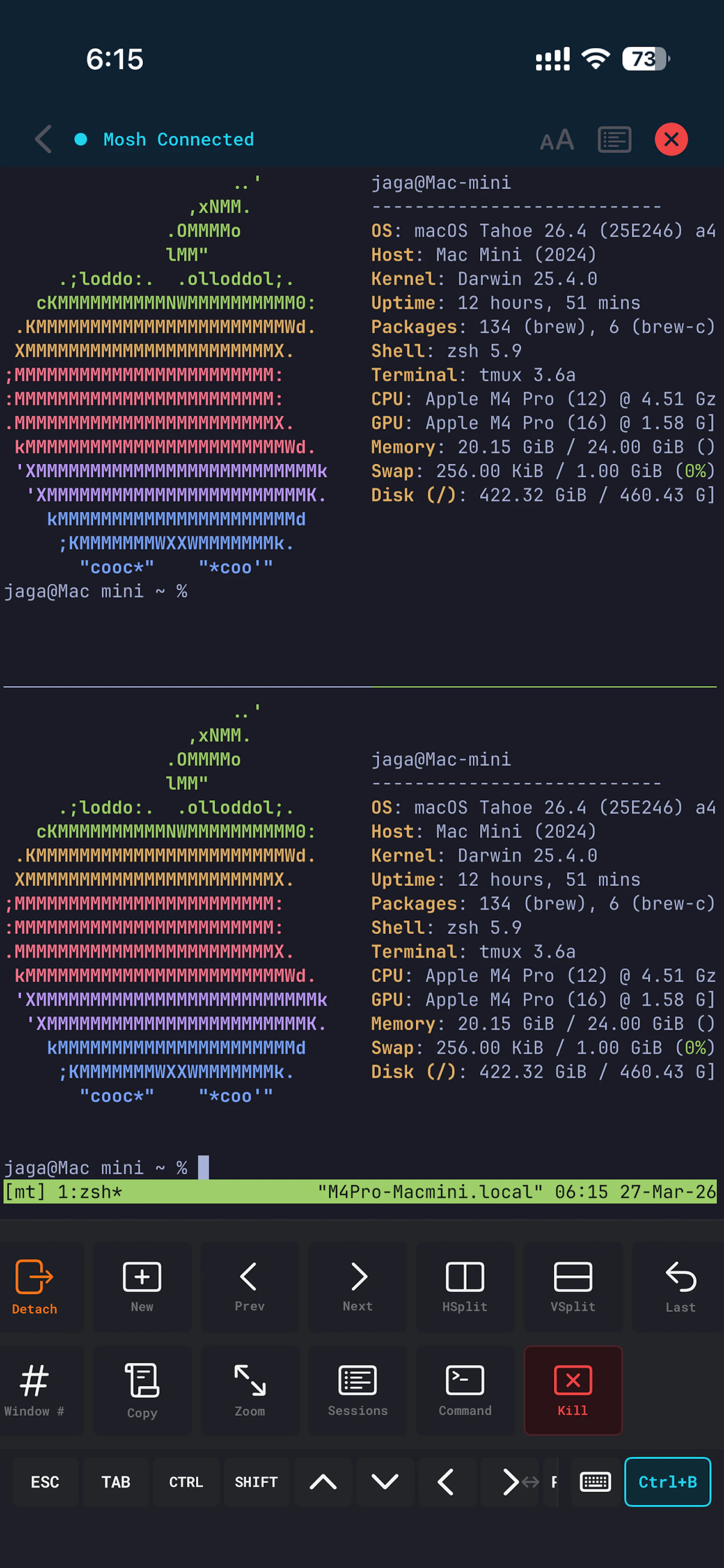 MT - Mosh Terminal screenshot 2