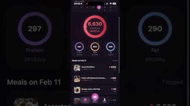 Calories Snap gallery image