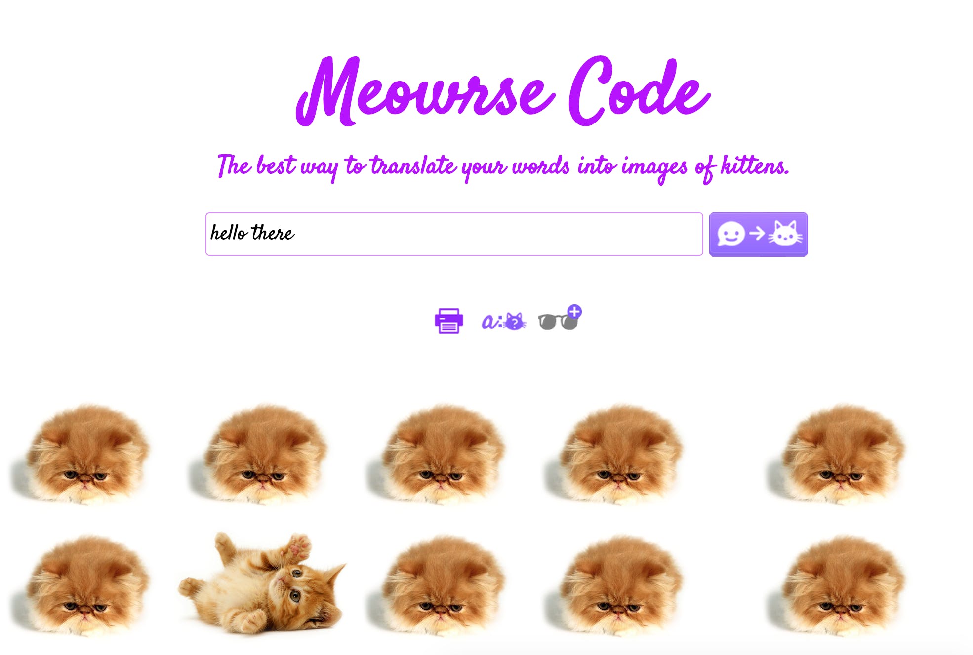 Meowrse Code media 1