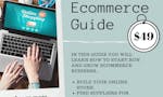 Ecommerce Guide image