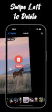 TinyRoll gallery image