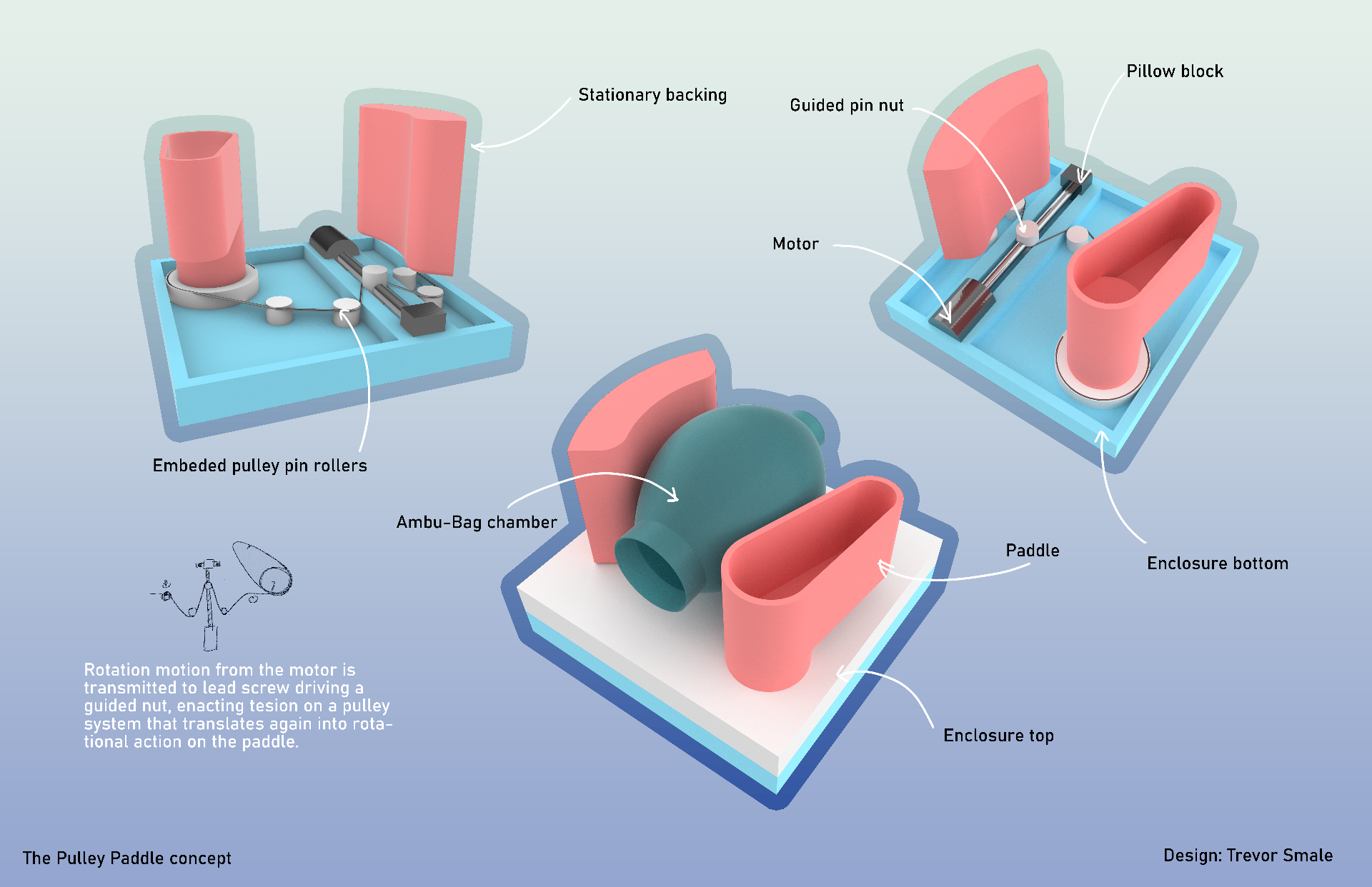 Chapter 4: ACLS | American CPR Care Association