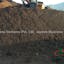 organic fertilizer