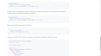 Flutter JS gallery image