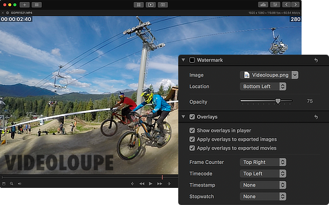 Videoloupe for Mac gallery image