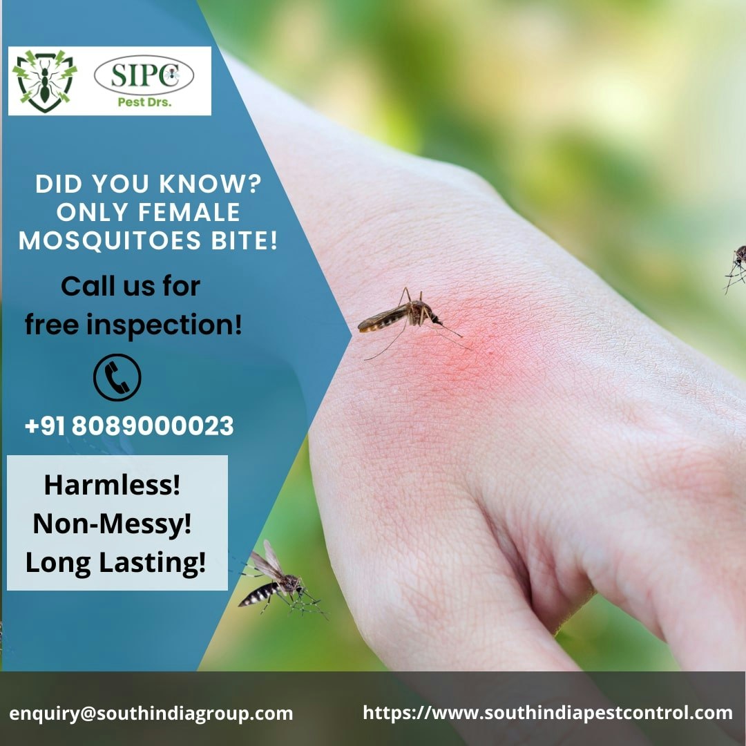Mosquito Control Services in Bangalore