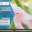 Mosquito Control Services in Bangalore