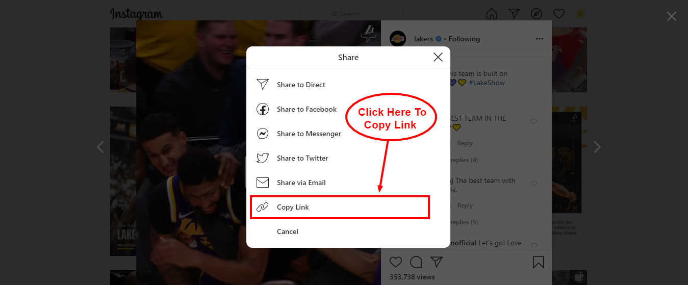 Instagram Video Downloader gallery image