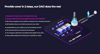 Bright Risk Index gallery image