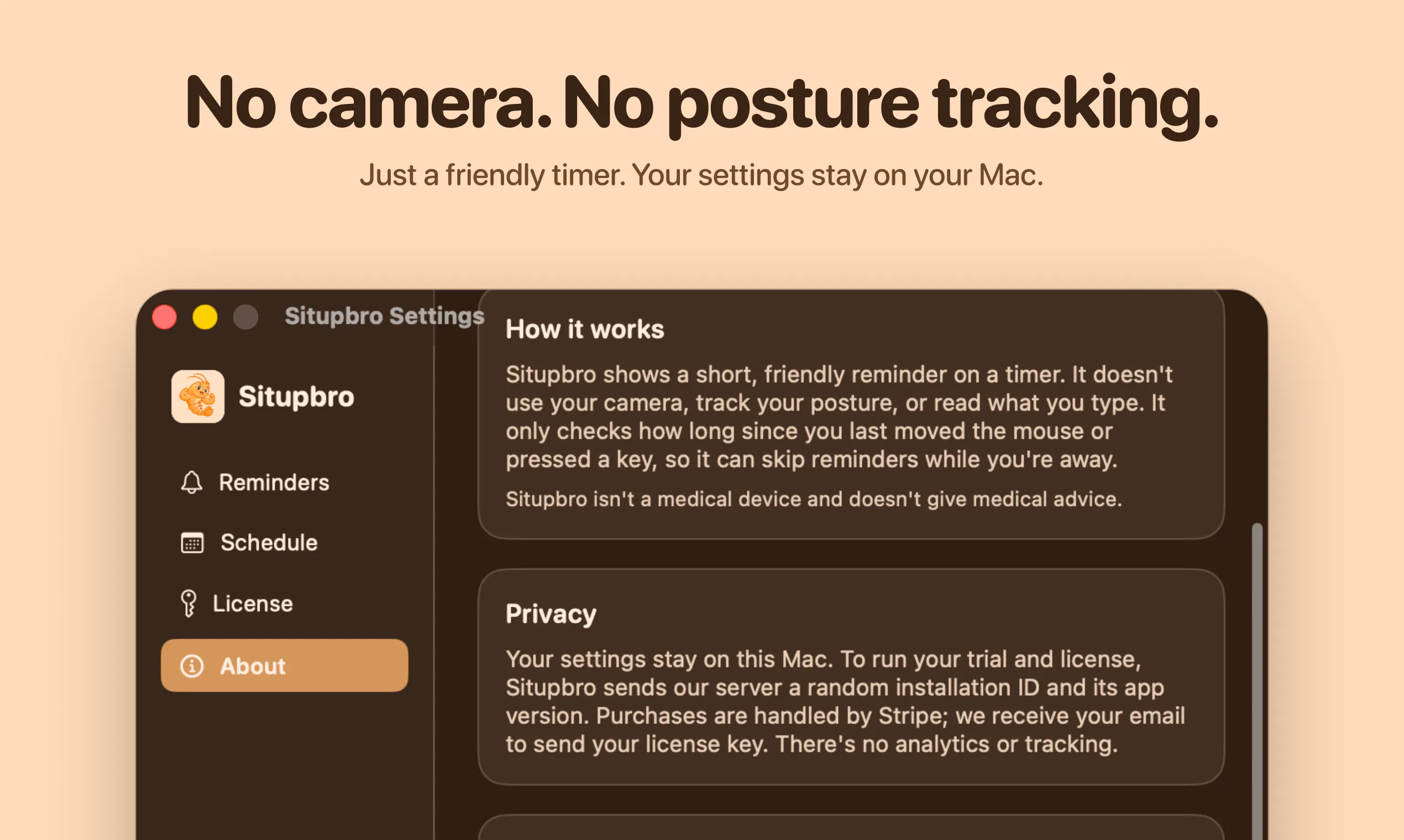 Situpbro gallery image