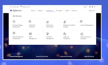 Website Theme for Personal Brand gallery image