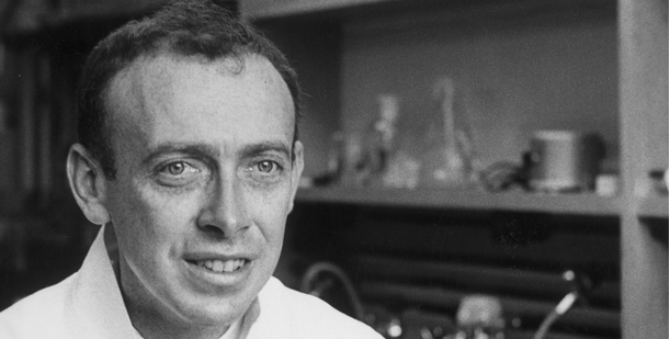 The Double Helix gallery image