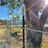 Fencing company Medford